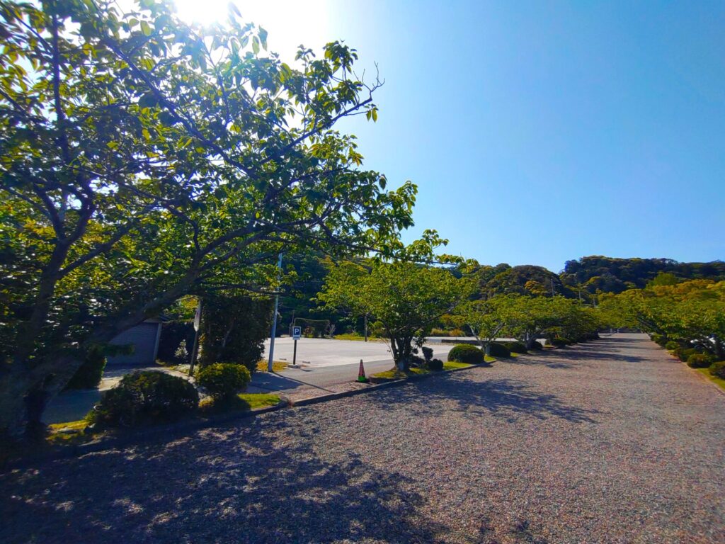 安房神社【千葉県】 DSC 1807 1 1024x768 - 安房神社【千葉県】