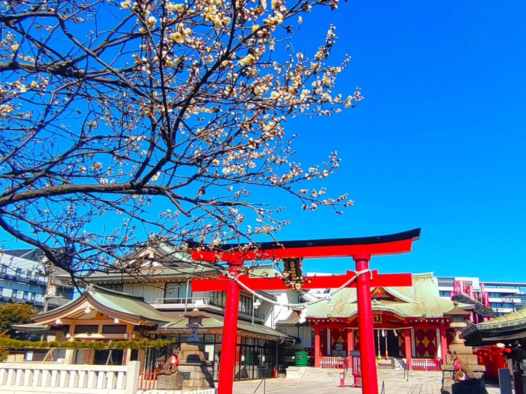 DSC 1836 2 1024x768 - Anamori Inari Shrine [Tokyo]