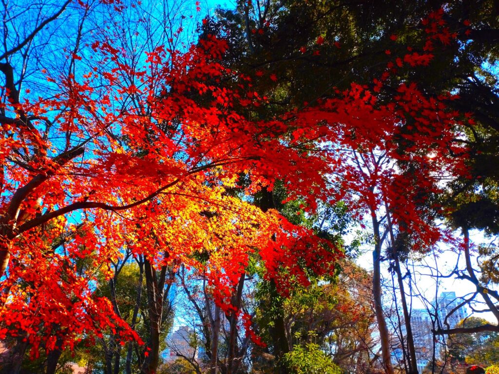 DSC 1848 1024x768 - Tokyo Tower, TowerDaijingu Shrine [Tokyo]