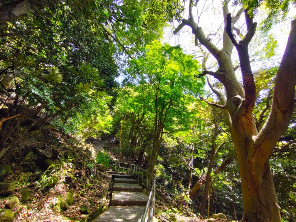 日本寺【千葉県】 DSC 1880 1 1024x768 - 日本寺【千葉県】