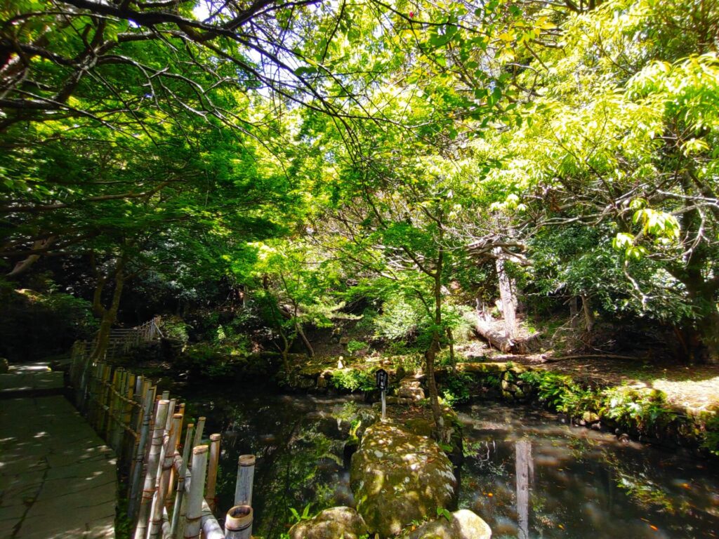 日本寺【千葉県】 DSC 1903 1 1024x768 - 日本寺【千葉県】