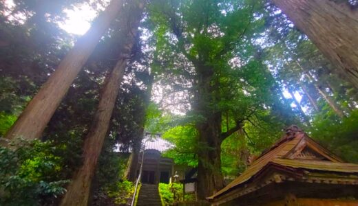 由豆佐売神社【山形県】