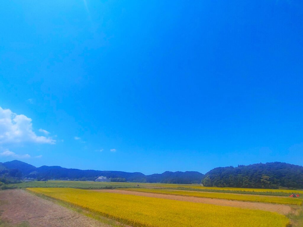 湯田川温泉【山形県】 DSC 2254 1 1024x768 - 湯田川温泉【山形県】