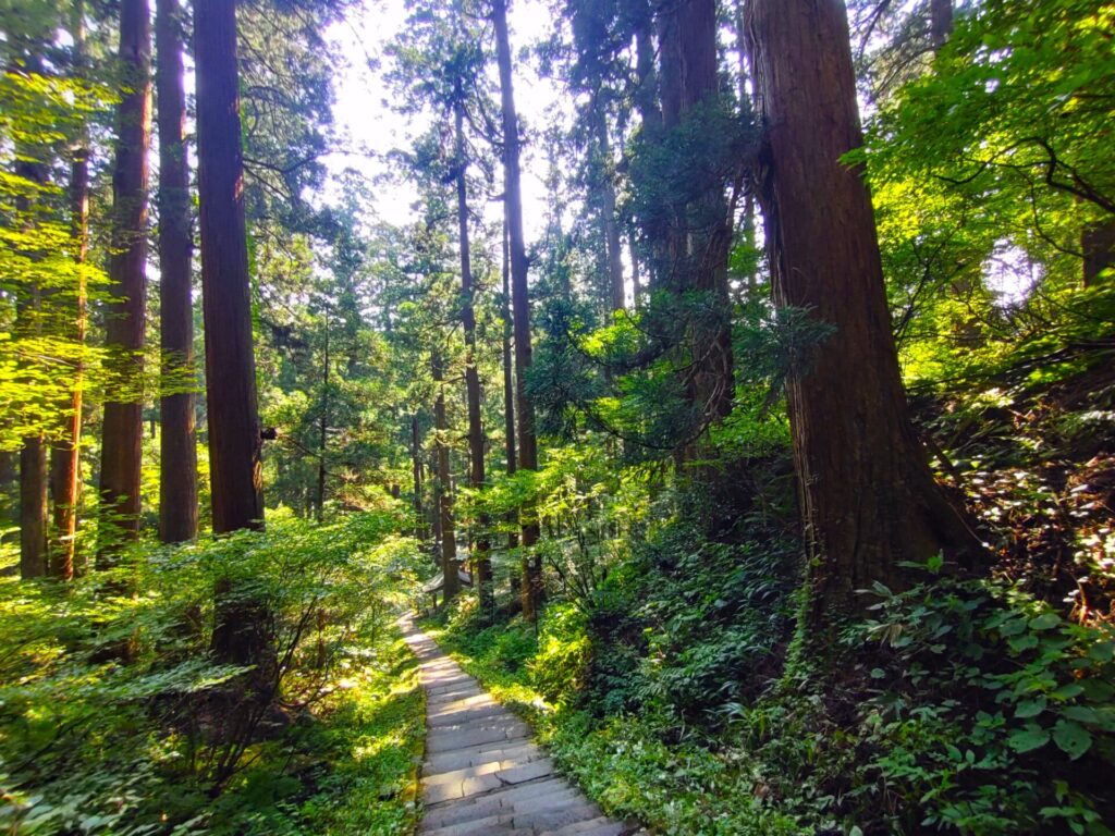 DSC 2389 1024x768 - 羽黒山 出羽神社(五重塔までの道のり)【山形県】
