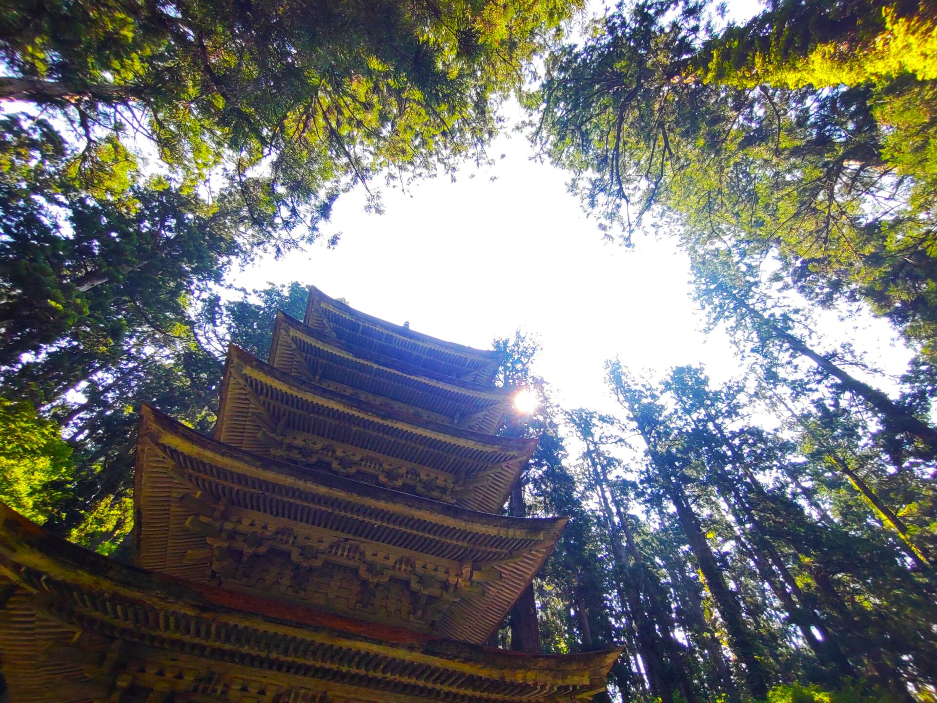 羽黒山 出羽三山神社(五重塔までの道のり)【山形県】 | 【御朱印・絶景
