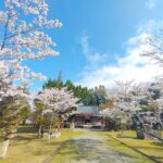 DSC 2437 150x150 - 岡留熊野座神社(幸福神社) 【熊本県】