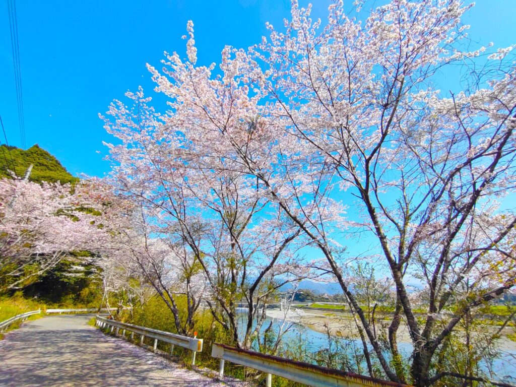 「夏目友人帳」・「蛍火の杜へ」 聖地 DSC 2477 2 1024x768 - 「夏目友人帳」・「蛍火の杜へ」 聖地
