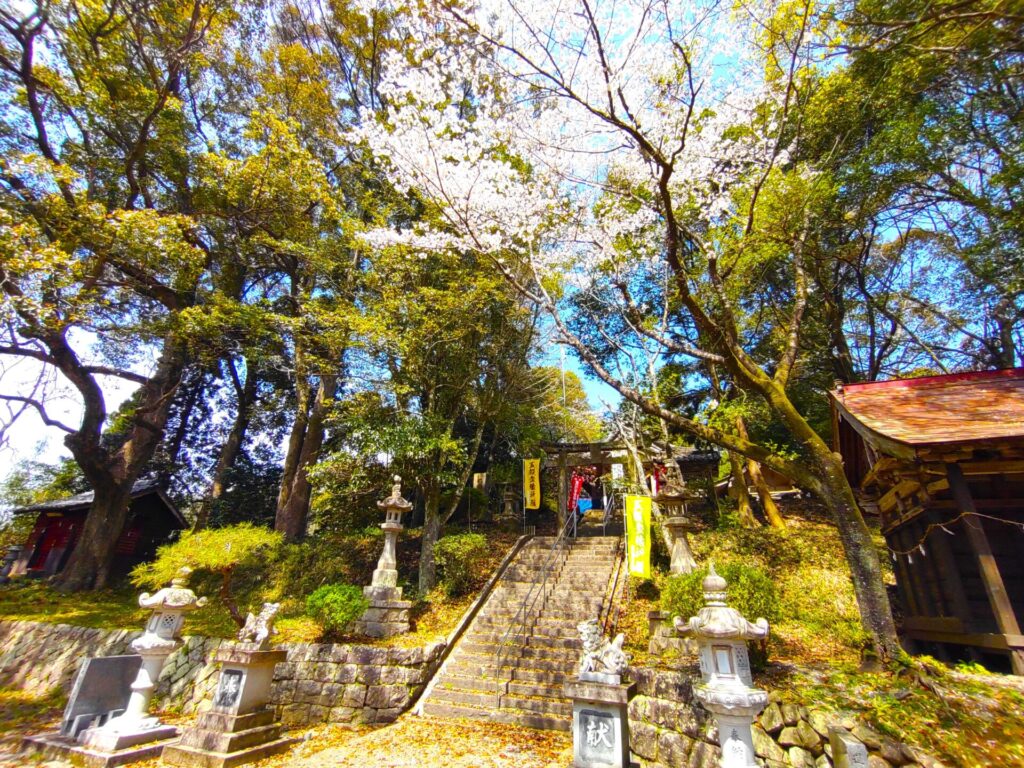 DSC 2581 1024x768 - Okadome Kumanoza Shrine (Happiness Shrine) [Kumamoto]