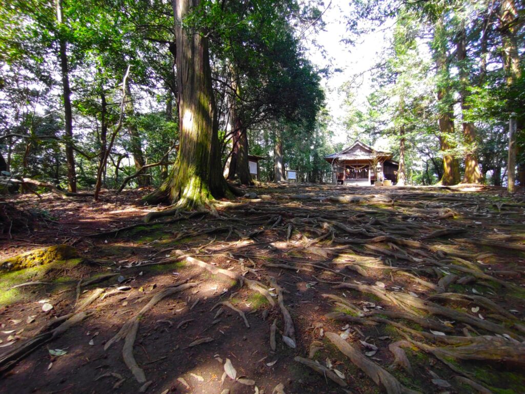 DSC 2602 1024x768 - 永江雨宮神社【熊本県】