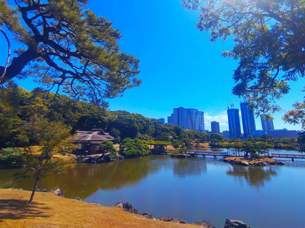 DSC 2608 1024x768 - 浜離宮恩賜庭園【東京都】