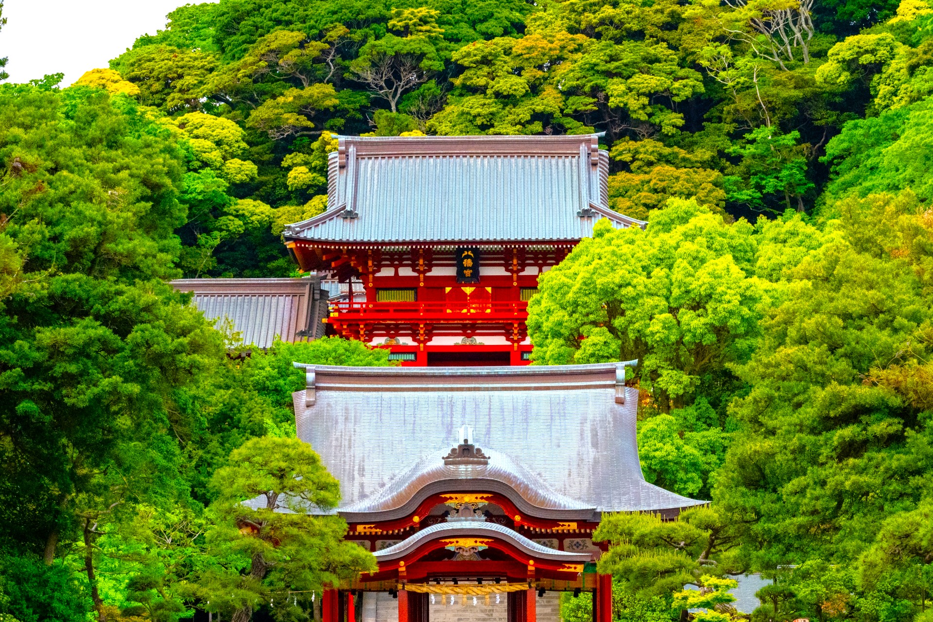 鶴岡八幡宮【神奈川県】 | Kanataの神社・お寺めぐりナビ