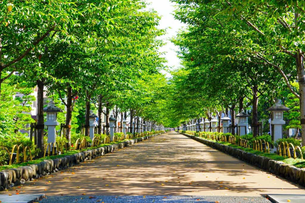 鶴岡八幡宮【神奈川県】 DSC 2626 4 1024x683 - 鶴岡八幡宮【神奈川県】