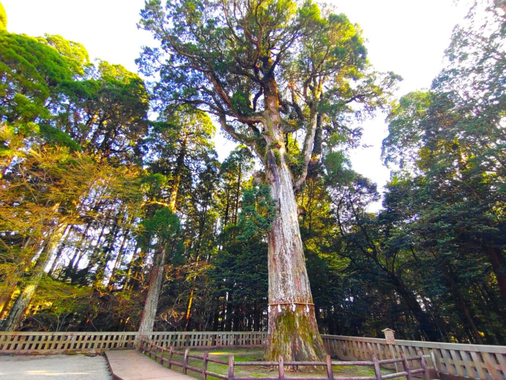 DSC 2657 2 1024x769 - Kirishima Jingu Shrine [Kagoshima]