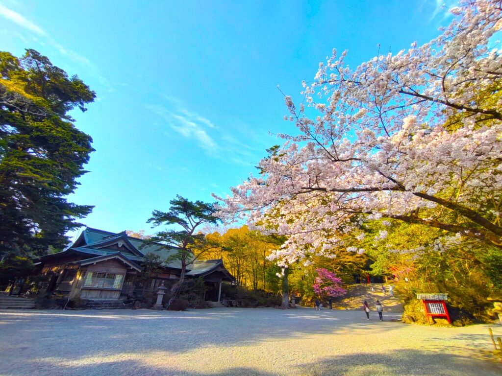 DSC 2666 2 1024x768 - Kirishima Jingu Shrine [Kagoshima]