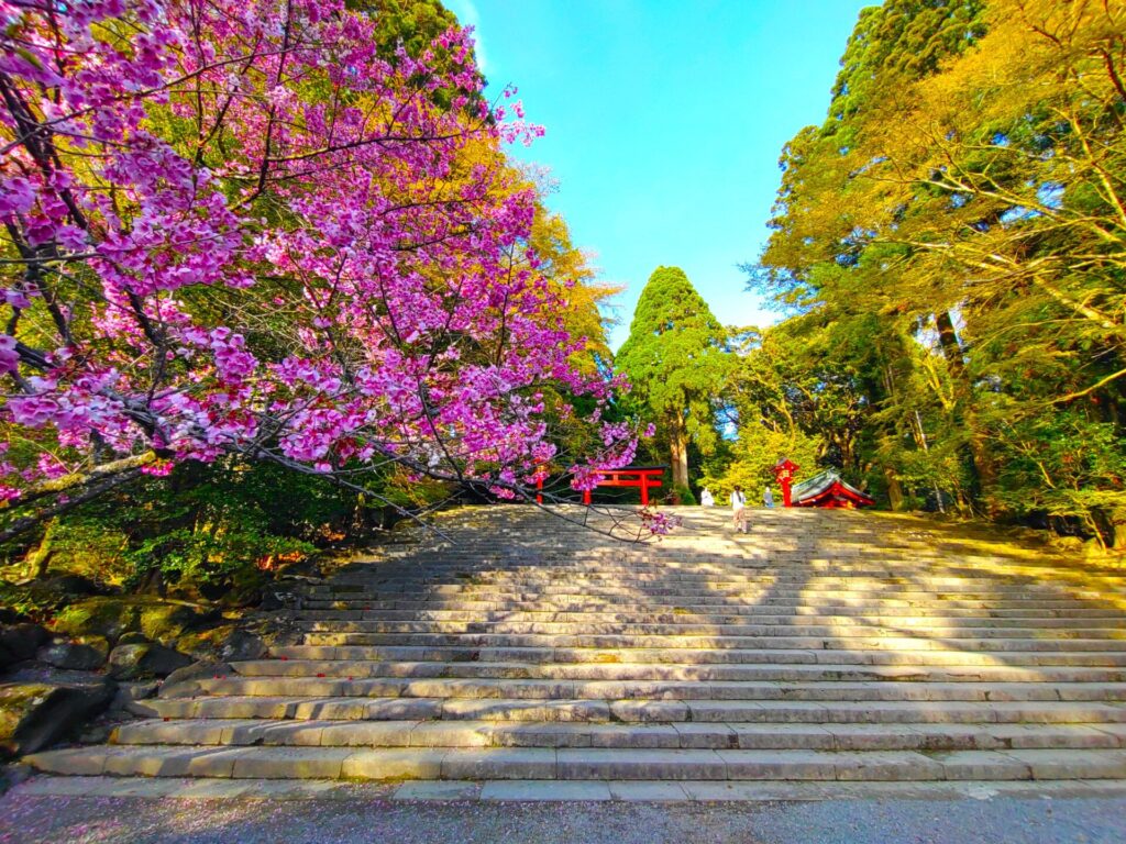 DSC 2670 1024x768 - Kirishima Jingu Shrine [Kagoshima]