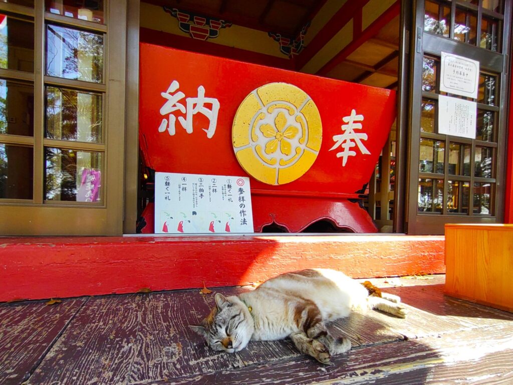 DSC 2695 2 1024x768 - Kamo Hachiman Shrine [Kagoshima]