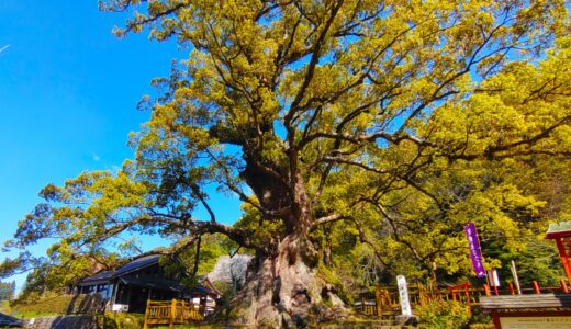 Kamo Hachiman Shrine [Kagoshima]