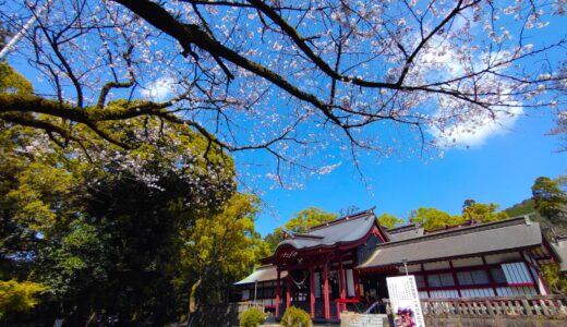 Kagoshima Jingu Shrine [Kagoshima]