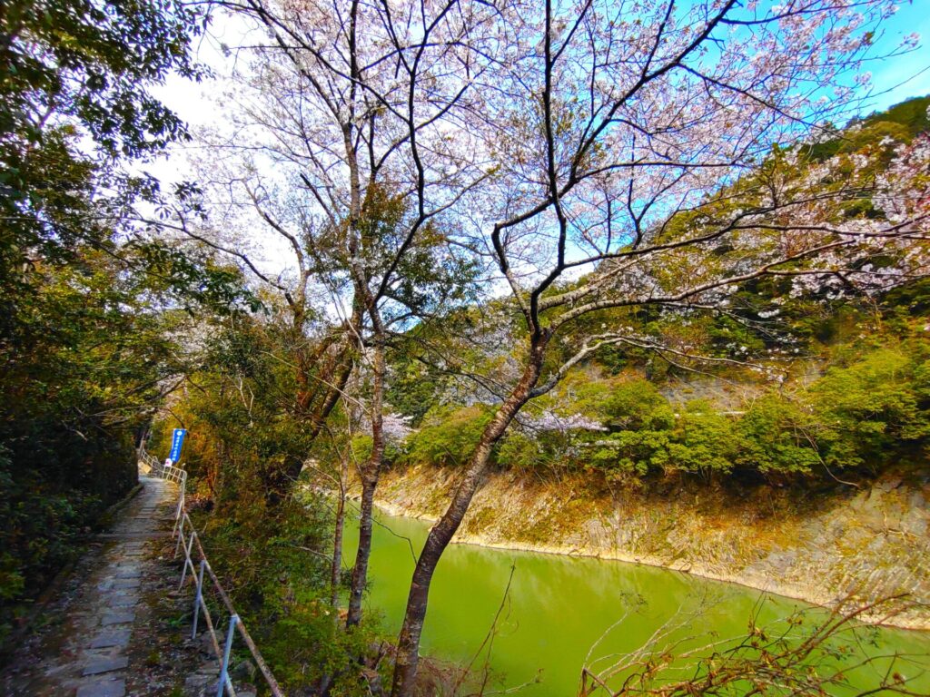 速開都比売神社【宮崎県】 DSC 2918 1024x768 - 速開都比売神社【宮崎県】