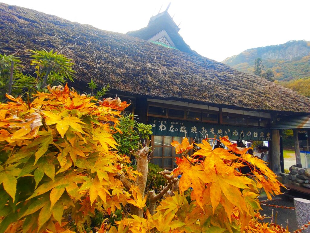 吹割の滝と浮島如意輪観世音【群馬県】 DSC 2936 1 1024x768 - 吹割の滝と浮島如意輪観世音【群馬県】