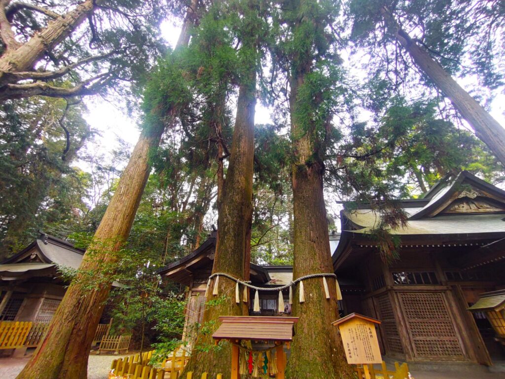 高千穂神社【宮崎県】 DSC 2978 1024x768 - 高千穂神社【宮崎県】