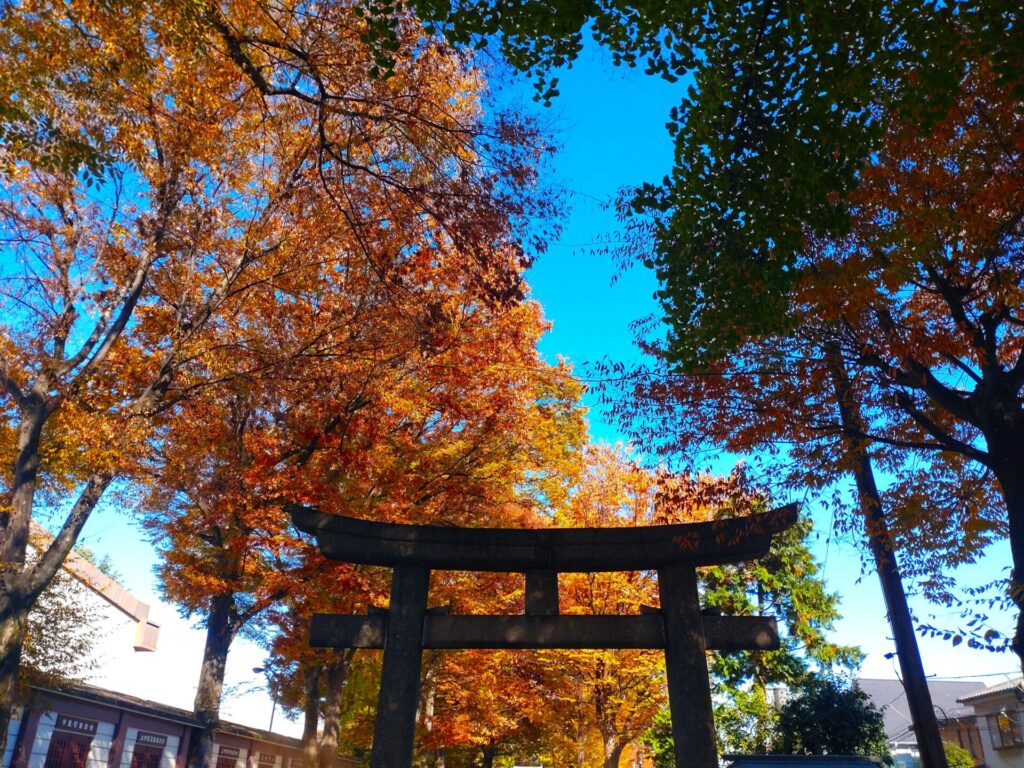 DSC 3012 1024x768 - 平塚神社【東京都】
