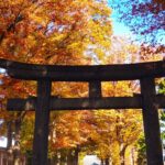 DSC 3013 150x150 - Kyu Furukawa Gardens [Tokyo]