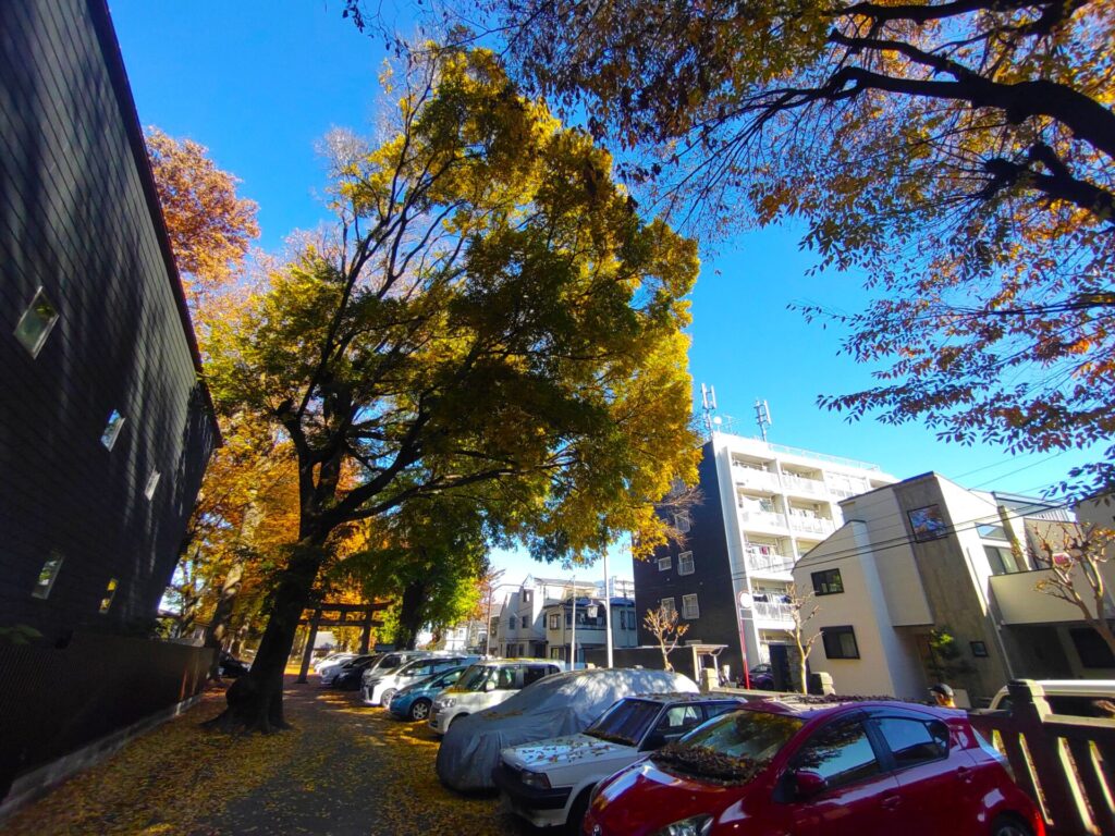 DSC 3014 1 1024x768 - 平塚神社【東京都】