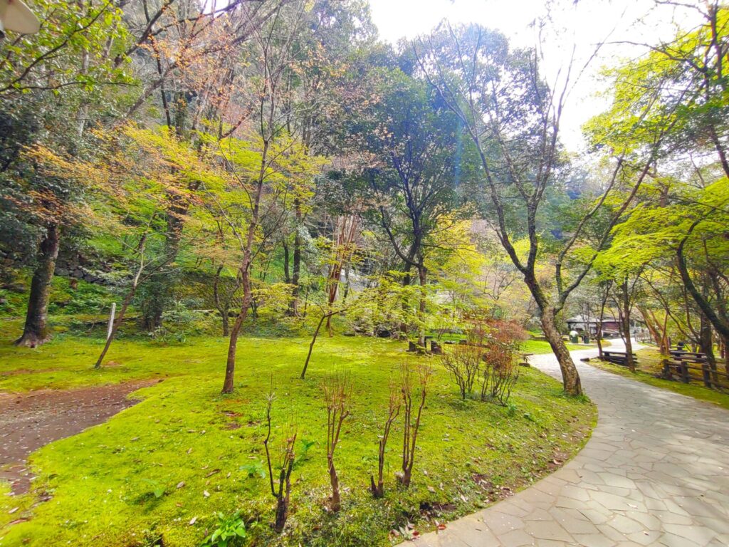 高千穂峡【宮崎県】 DSC 3014 1024x768 - 高千穂峡【宮崎県】