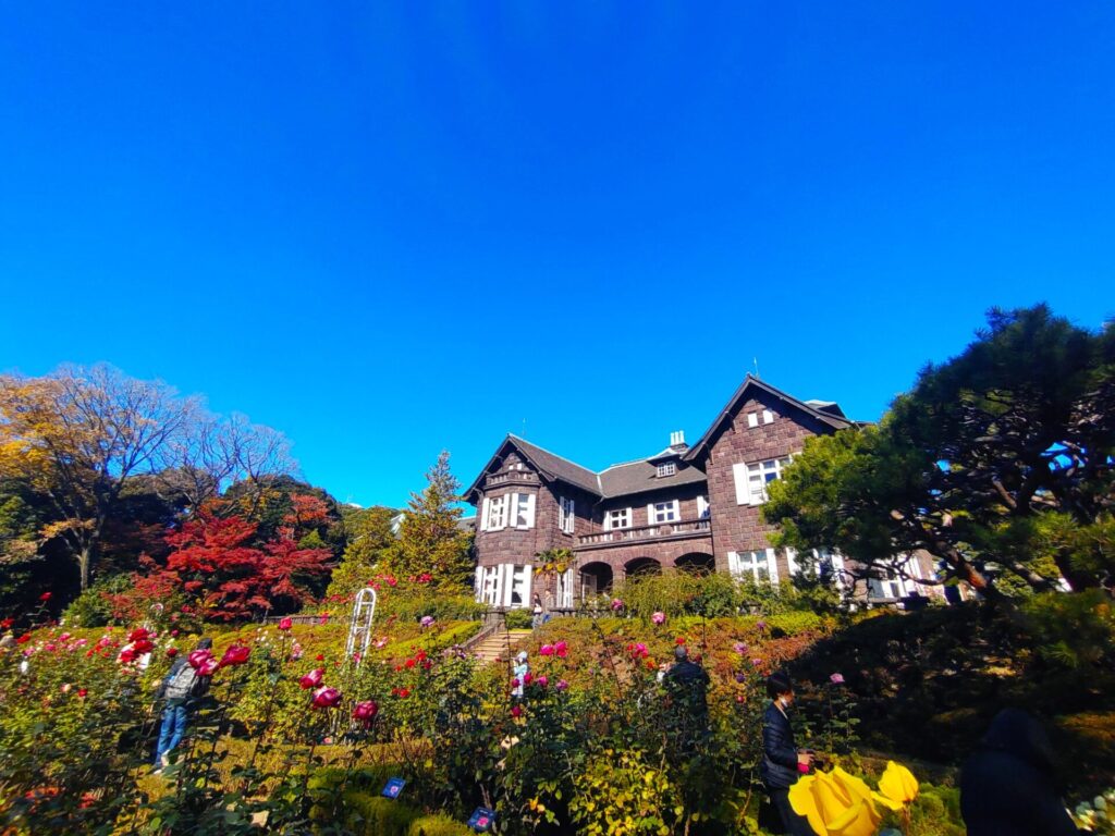 DSC 3018 1024x768 - 旧古河庭園【東京都】