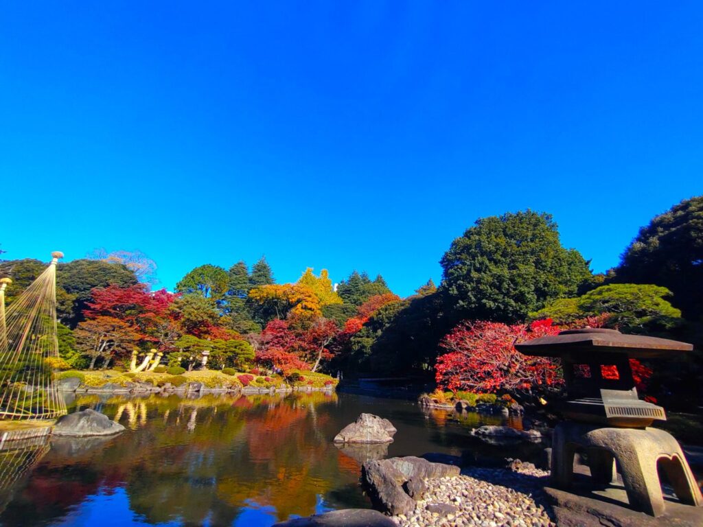 DSC 3039 2 1024x768 - 旧古河庭園【東京都】