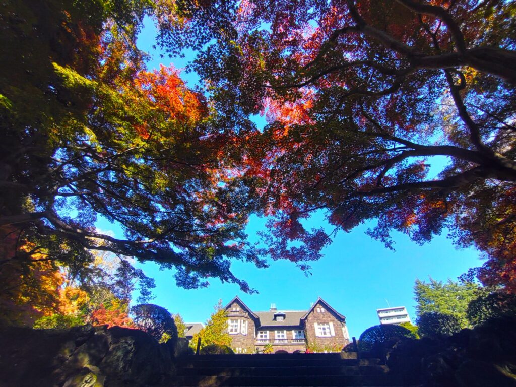 DSC 3045 1024x768 - 旧古河庭園【東京都】