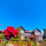 等々力不動尊・等々力渓谷【東京都】 DSC 3049 150x150 - 等々力不動尊・等々力渓谷【東京都】