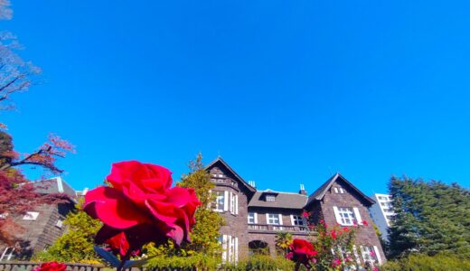 DSC 3049 520x300 - 平塚神社【東京都】