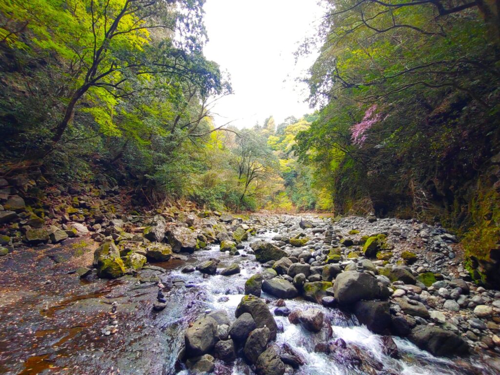 DSC 3071 1024x768 - 天岩戸神社【宮崎県】