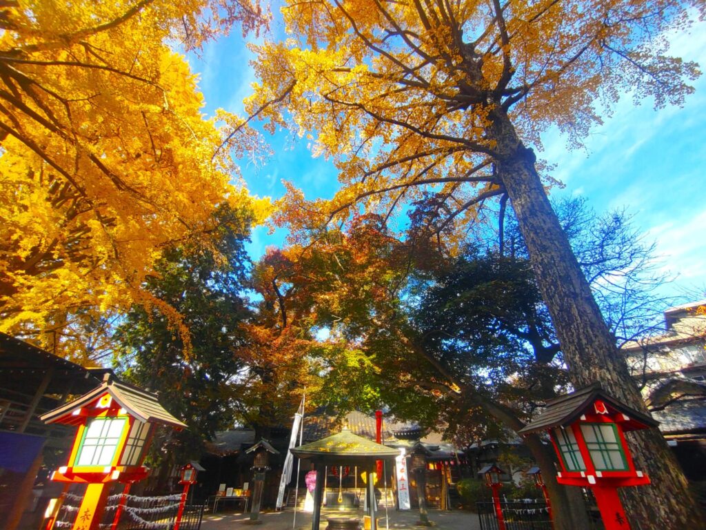 等々力不動尊・等々力渓谷【東京都】 DSC 3076 1 1024x768 - 等々力不動尊・等々力渓谷【東京都】