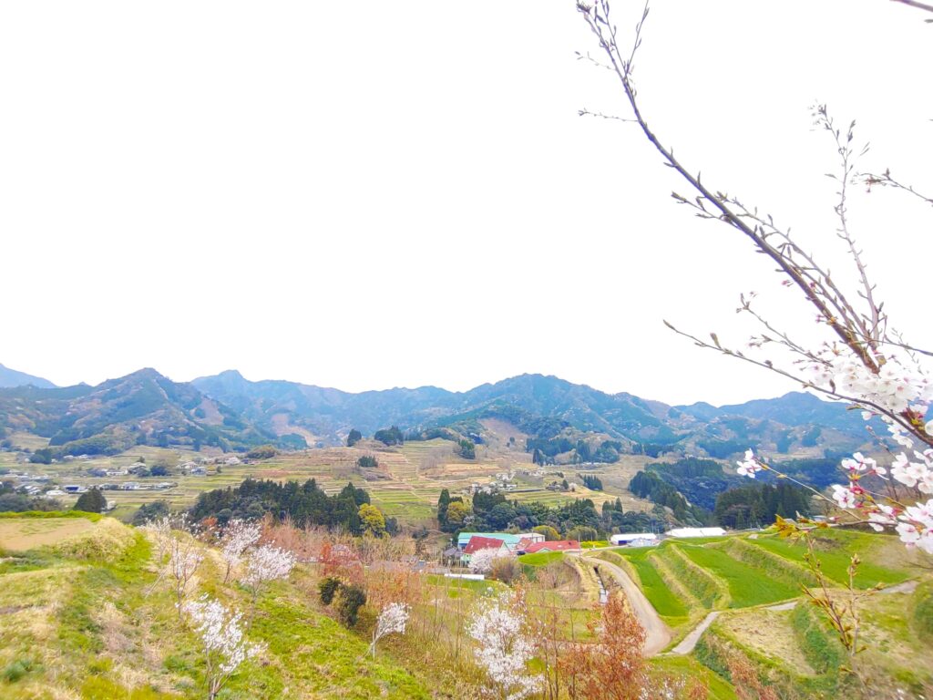 DSC 3078 1 1024x768 - Onikiri-ishi Rock [Miyazaki]