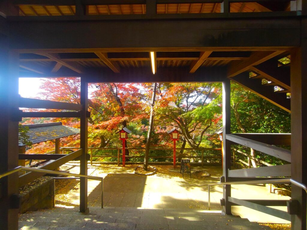 等々力不動尊・等々力渓谷【東京都】 DSC 3080 1024x768 - 等々力不動尊・等々力渓谷【東京都】