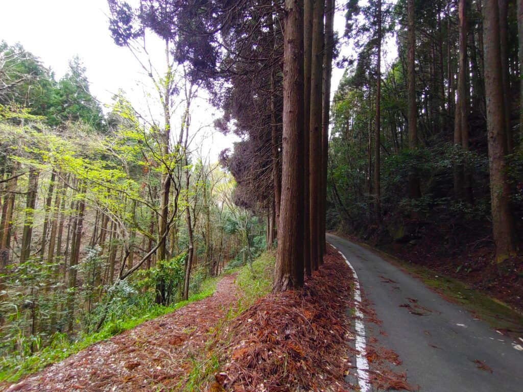 DSC 3081 1024x768 - Onikiri-ishi Rock [Miyazaki]
