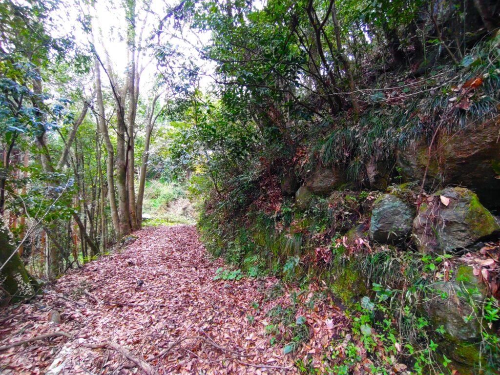 DSC 3083 1024x768 - Onikiri-ishi Rock [Miyazaki]