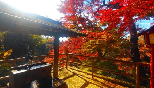 等々力不動尊・等々力渓谷【東京都】