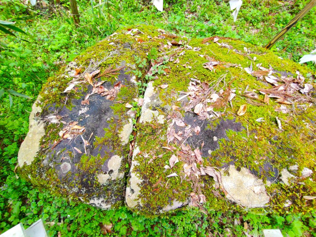DSC 3087 1024x768 - Onikiri-ishi Rock [Miyazaki]