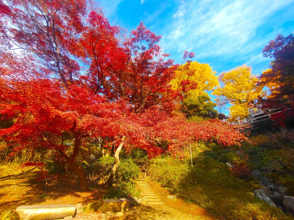 等々力不動尊・等々力渓谷【東京都】 DSC 3100 1024x768 - 等々力不動尊・等々力渓谷【東京都】