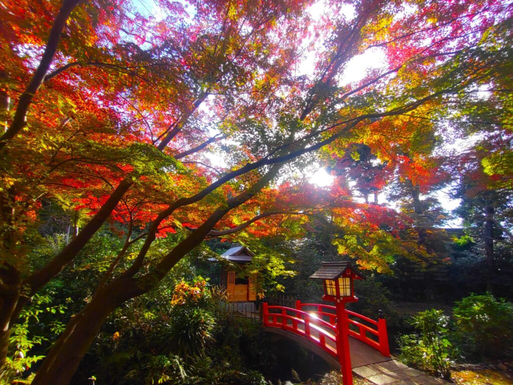 等々力不動尊・等々力渓谷【東京都】 DSC 3106 1024x768 - 等々力不動尊・等々力渓谷【東京都】