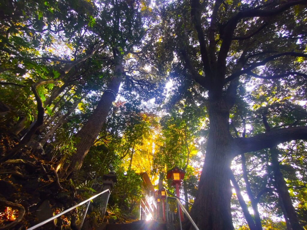 等々力不動尊・等々力渓谷【東京都】 DSC 3108 1024x768 - 等々力不動尊・等々力渓谷【東京都】