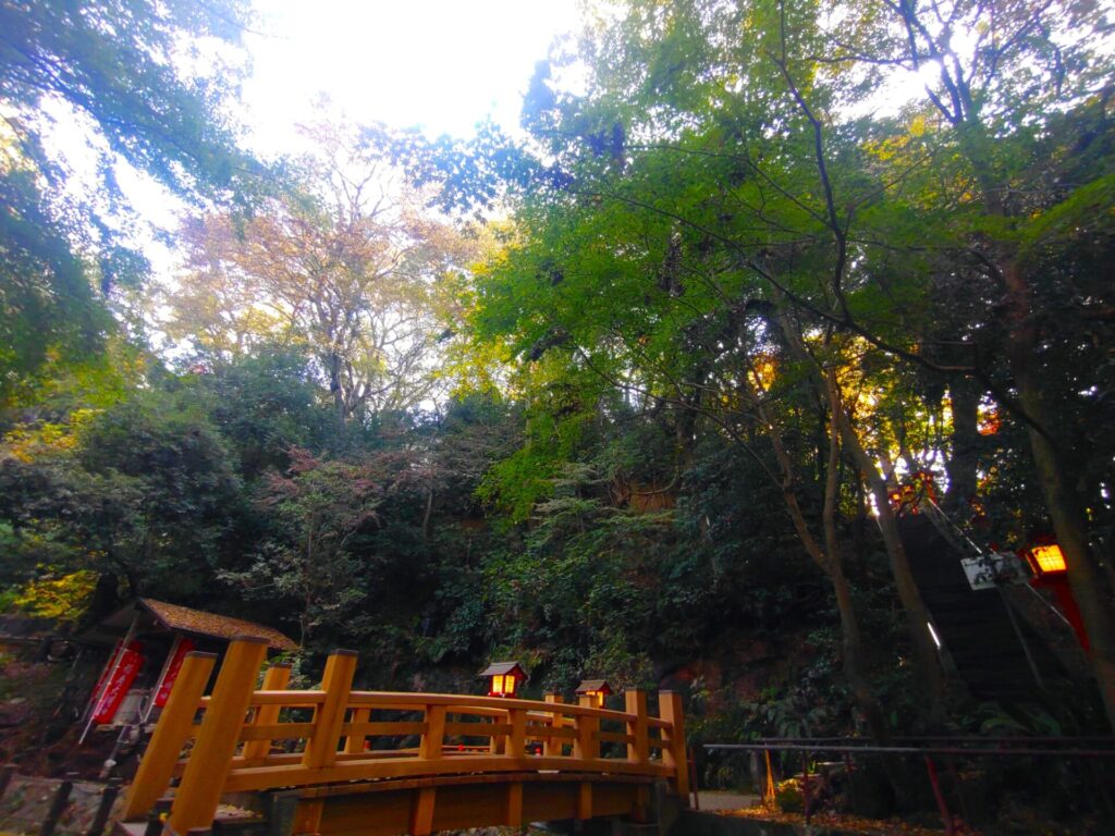 等々力不動尊・等々力渓谷【東京都】 DSC 3113 1024x768 - 等々力不動尊・等々力渓谷【東京都】