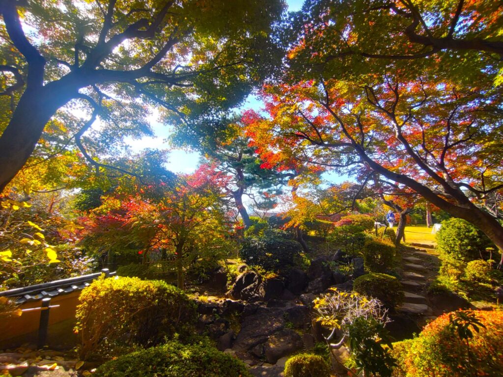 等々力不動尊・等々力渓谷【東京都】 DSC 3125 1024x768 - 等々力不動尊・等々力渓谷【東京都】
