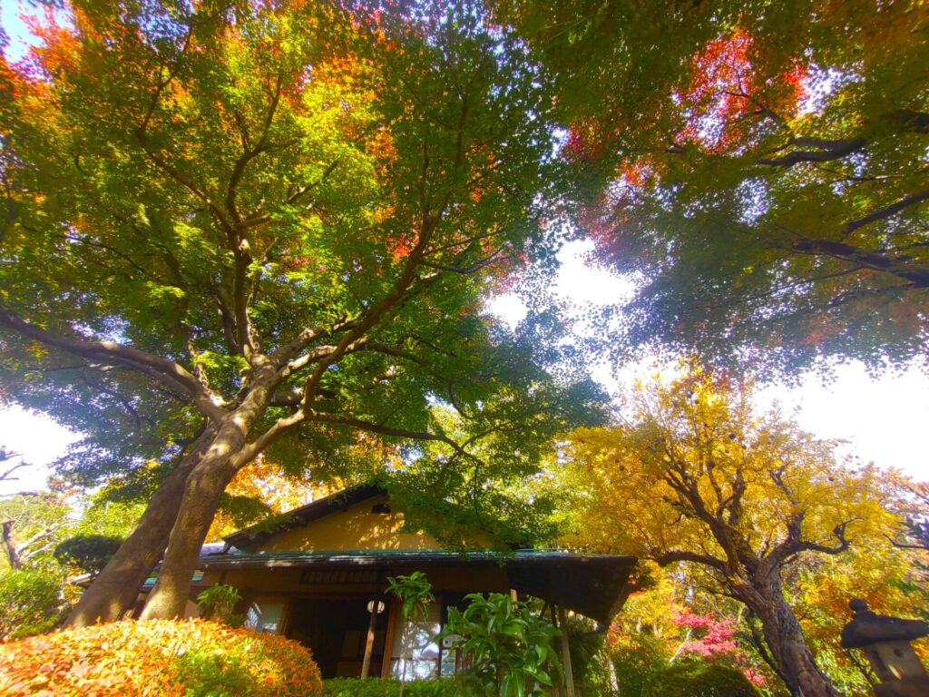 等々力不動尊・等々力渓谷【東京都】 DSC 3126 1024x768 - 等々力不動尊・等々力渓谷【東京都】