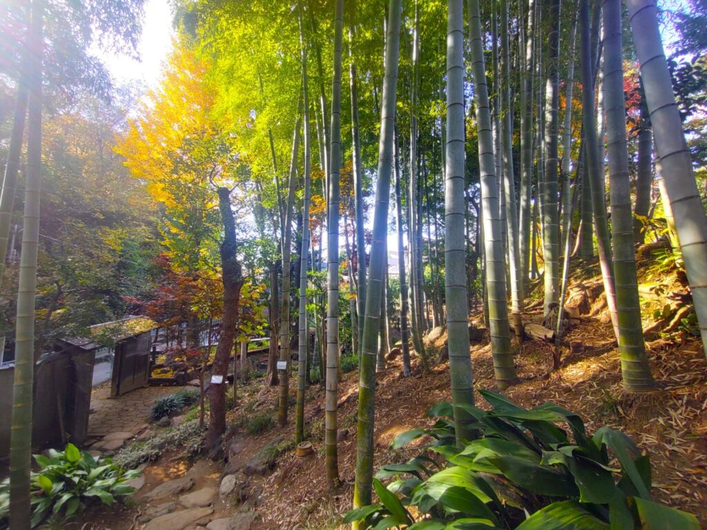 等々力不動尊・等々力渓谷【東京都】 DSC 3131 1024x768 - 等々力不動尊・等々力渓谷【東京都】