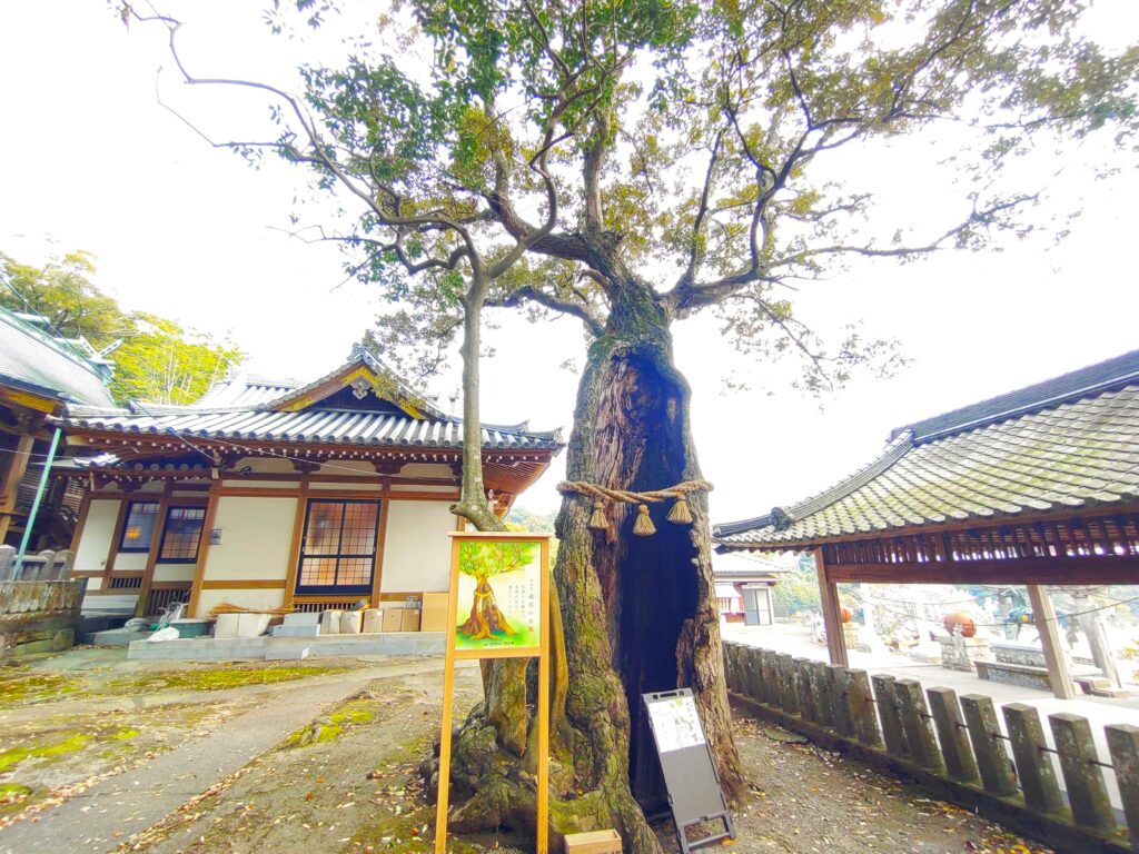 八幡竈門神社【大分県】 DSC 3139 1024x768 - 八幡竈門神社【大分県】